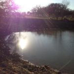 Glenwyck-Farms-01