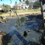 Glenwyck-Farms-11