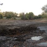 Glenwyck-Farms-15